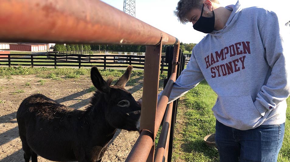 a Hampden-Sydney student petting a donkey